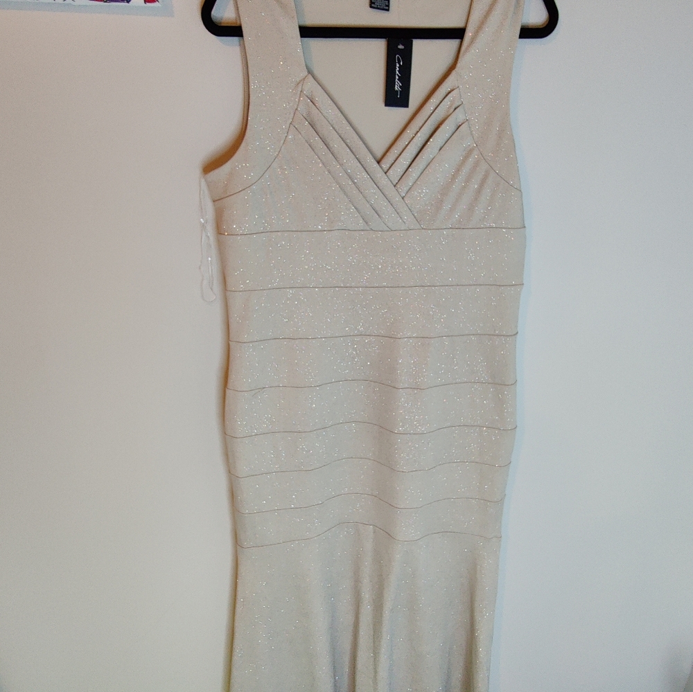 Canadlite formal gown